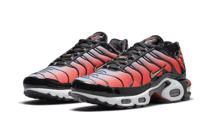 Nike Air Max Plus Sisterhood