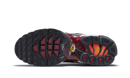 Nike Air Max Plus Sisterhood