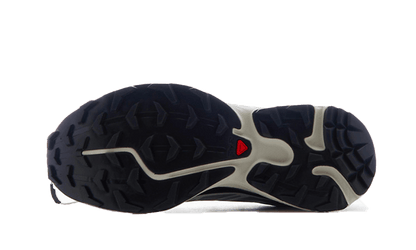 Salomon XT-6 RECUTMonument Phantom